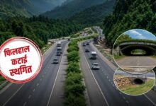 सरकार का बड़ा फैसला- देहरादून-ऋषिकेश फोर/सिक्स लेन परियोजना में फिलहाल नहीं कटेंगे पेड़