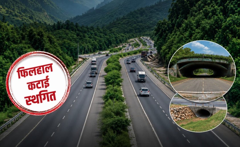 सरकार का बड़ा फैसला- देहरादून-ऋषिकेश फोर/सिक्स लेन परियोजना में फिलहाल नहीं कटेंगे पेड़ सरकार का बड़ा फैसला- देहरादून-ऋषिकेश फोर/सिक्स लेन परियोजना में फिलहाल नहीं कटेंगे पेड़
