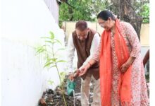 हरेला पर्व पर कृषि मंत्री गणेश जोशी ने किया फलदार पौधों का रोपण, दिया पर्यावरण संरक्षण का संदेश