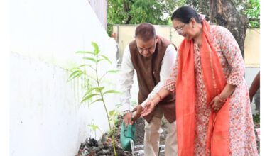 हरेला पर्व पर कृषि मंत्री गणेश जोशी ने किया फलदार पौधों का रोपण, दिया पर्यावरण संरक्षण का संदेश