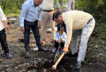 हरेला पर हरियाली का महाअभियान : ‘हरित दून’ के संकल्प के साथ एमडीडीए ने रखा 1 लाख पौधों का लक्ष्य
